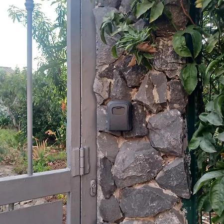 La Campestre * La Guancha
